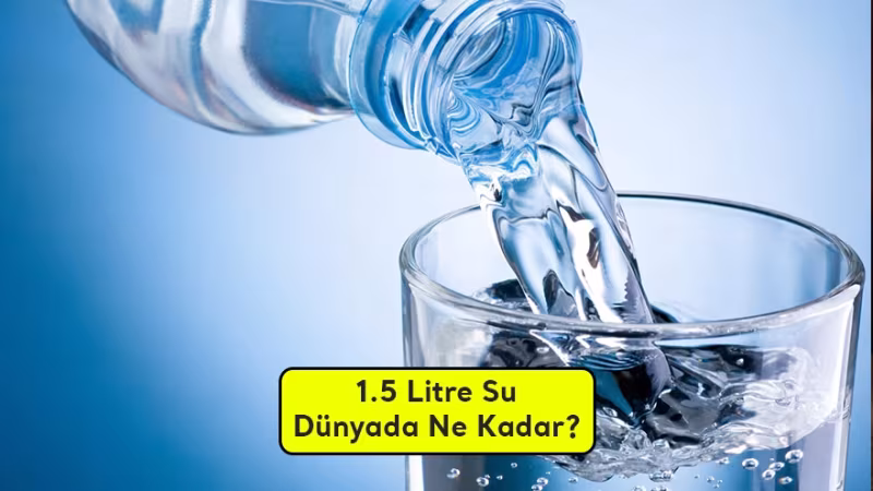 Su Dünyada Ne Kadara Satılıyor?