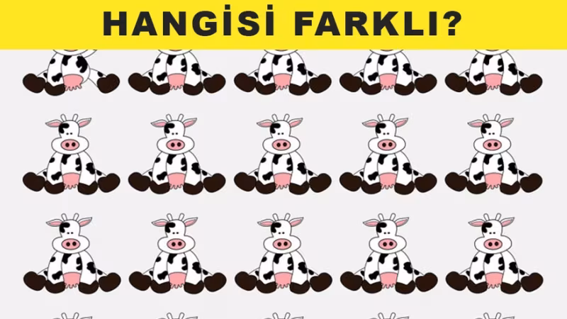 Beyninize Egzersiz Yaptıracak Testler - 1
