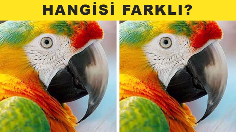 Beyninize Egzersiz Yaptıracak Testler - 6