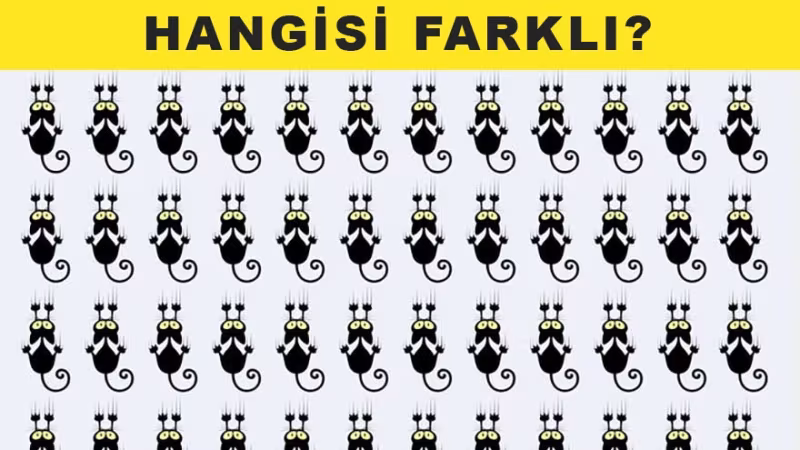 Beyninize Egzersiz Yaptıracak Testler - 11