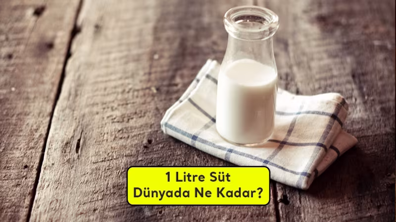 1 Litre Süt Dünyada Ne Kadara Satılıyor?