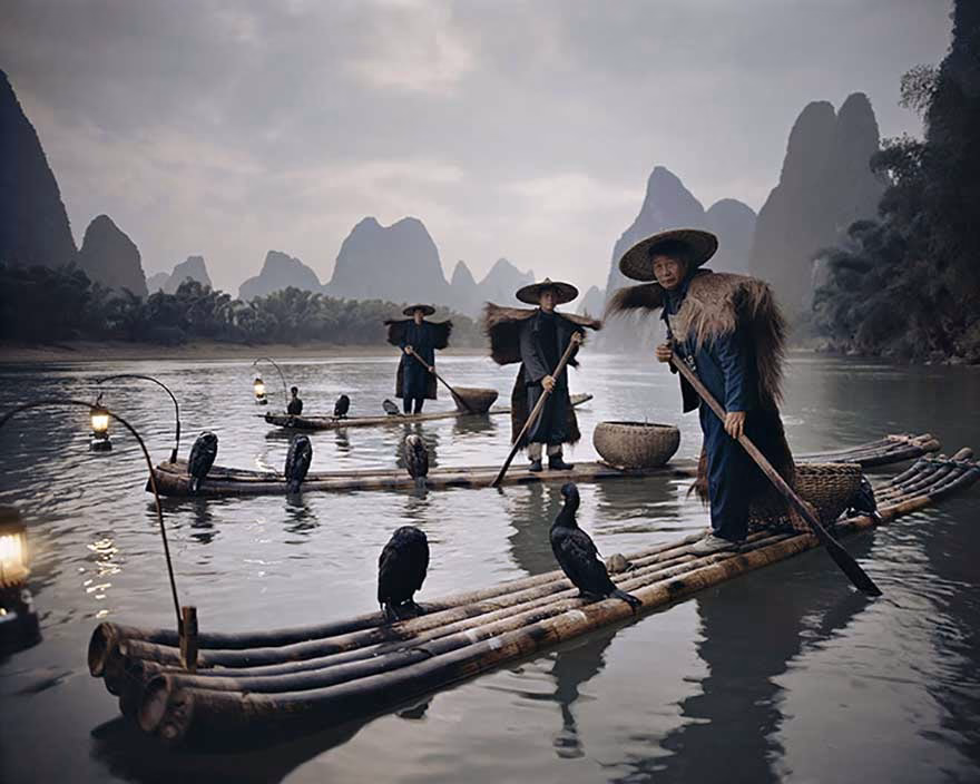 Yang Shuo Cormorants