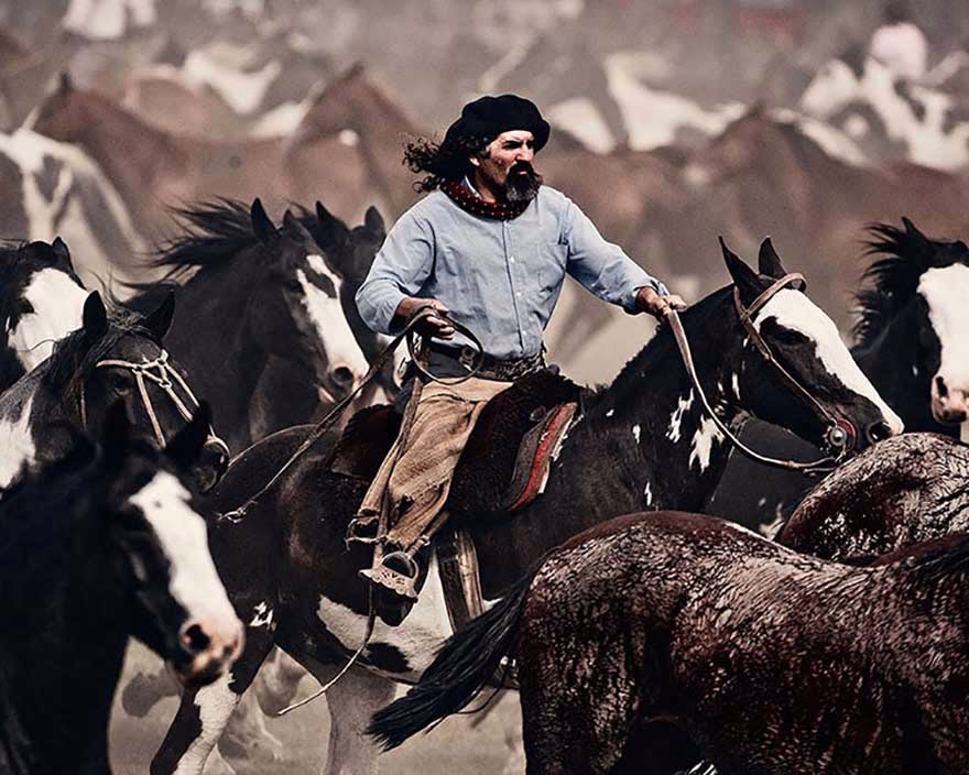 Gauchos kabilesi