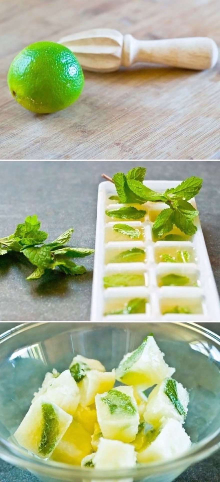 buz kalıbı Limon ve Nane Yaprağı