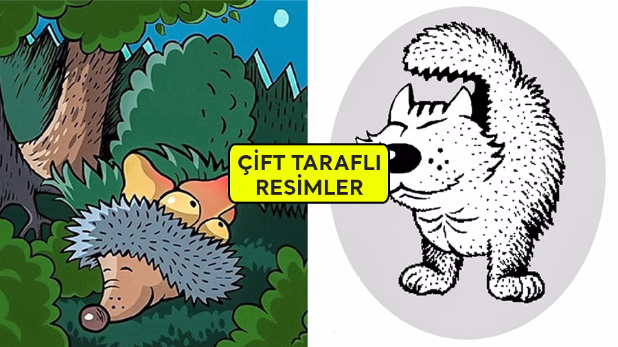 İnsanların Sadece %1'i İki Resmi de Görebiliyor