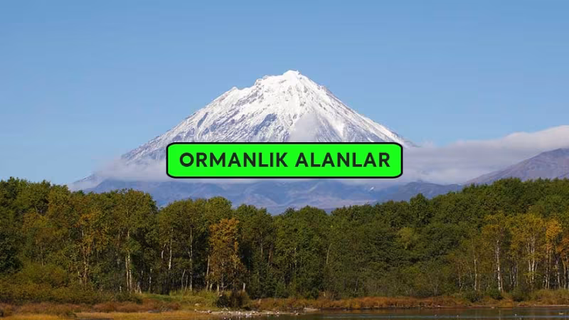 En Fazla Ormanlık Alana Sahip 10 Ülke