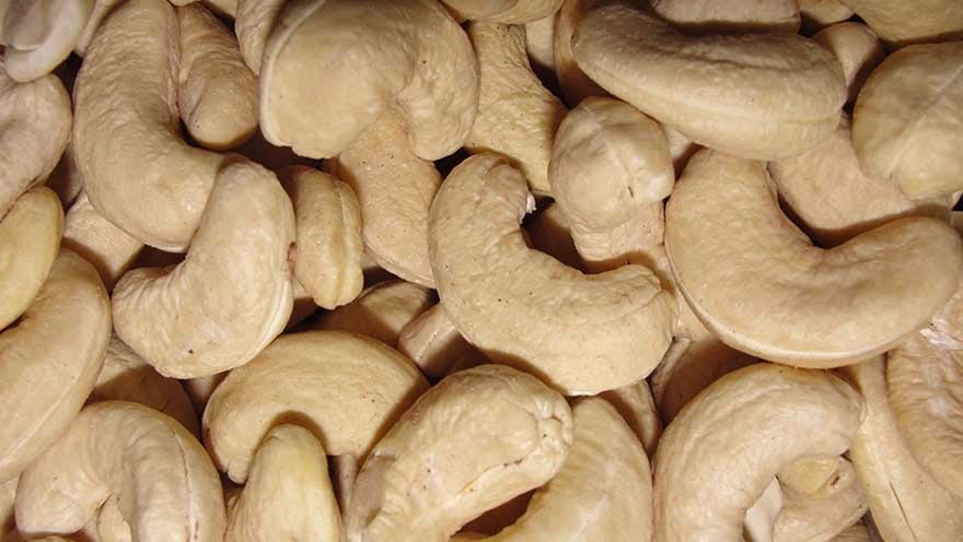 En Sevdigimiz Bazi Gidalarin Agaclari 07 A
