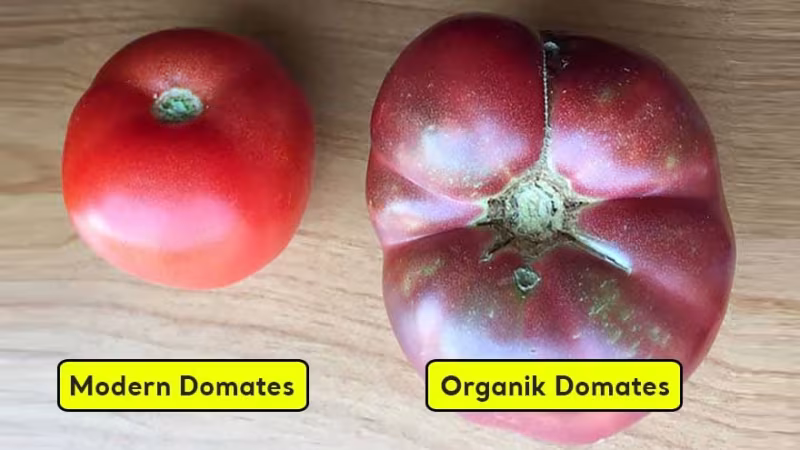 Farklı Bir Bakış Açısına Sahip Olmanızı Sağlayacak Karşılaştırmalar