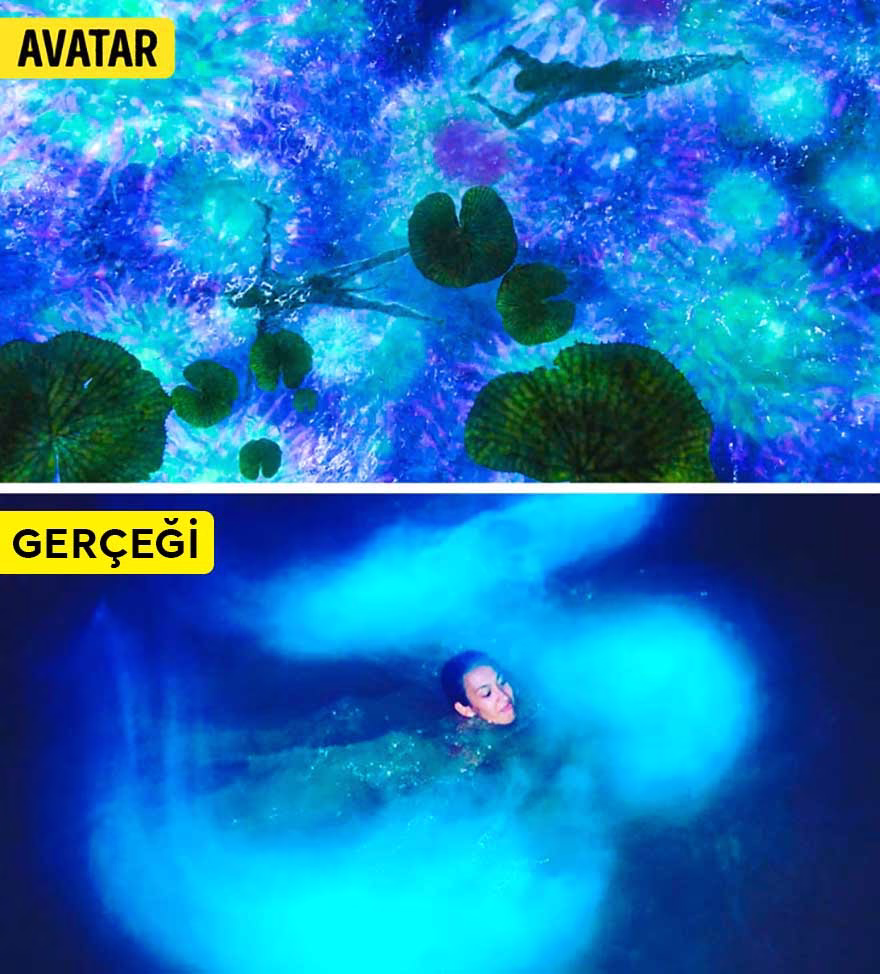 Bioluminescent göleti