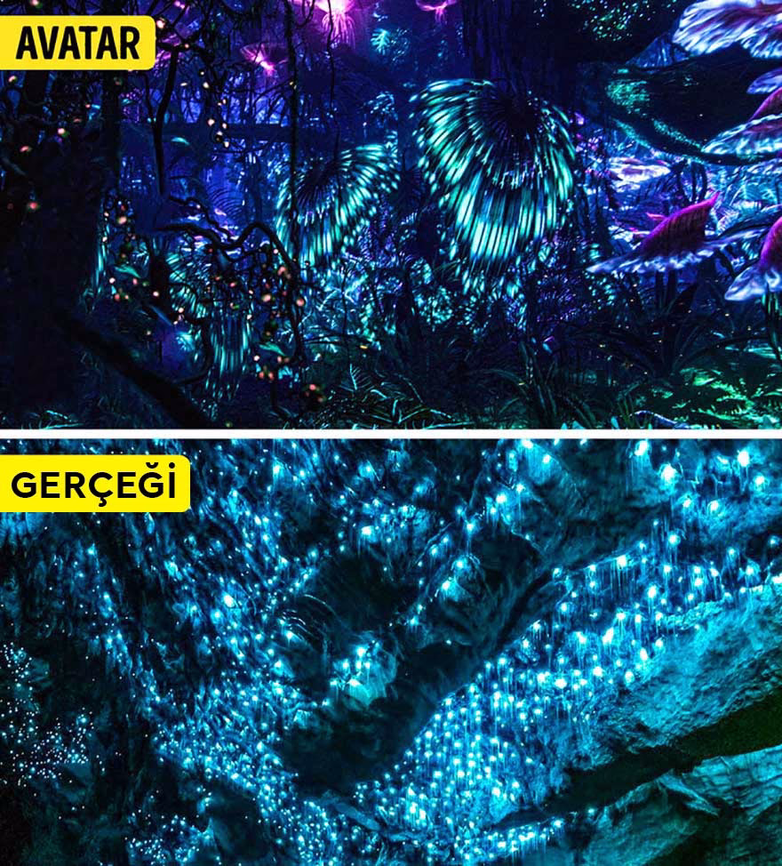 Pandora geceleri