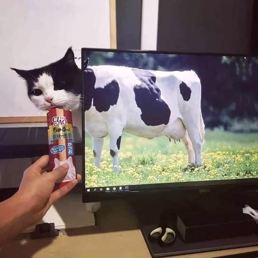 Goz Yaniltici Fotograflar 07