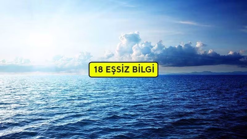 Okyanuslar Hakkında İlginç Bilgiler