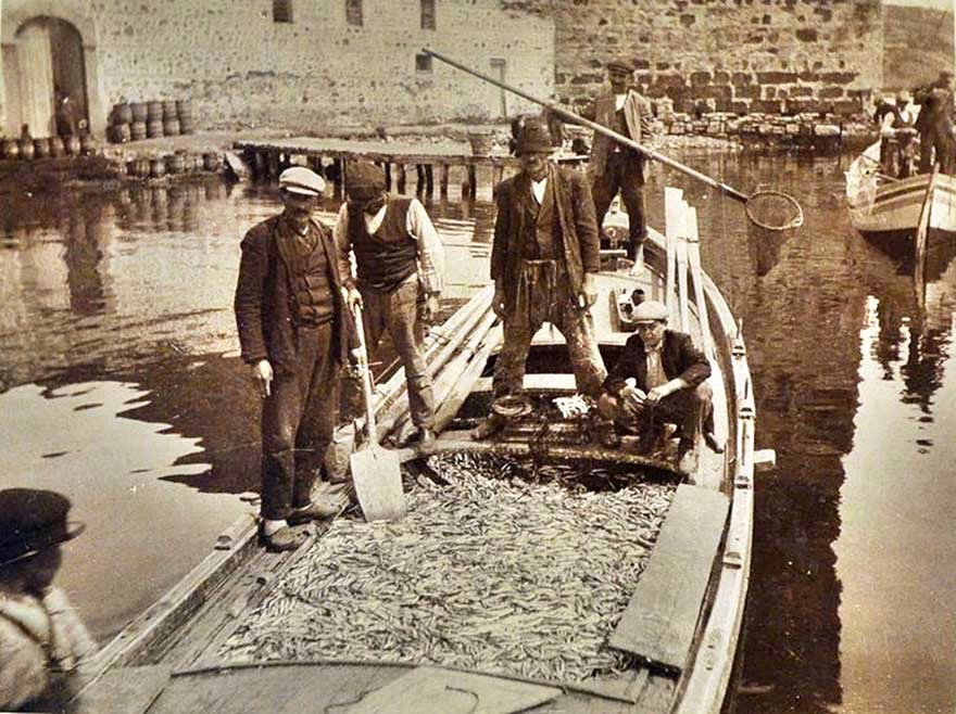 Sinoplu balıkçılar avlarında, bolca hamsiyle dönmüşler