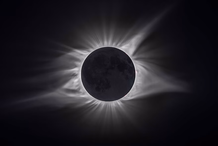 Sienna Fotograf Yarismasi Kazananlar 2018 44