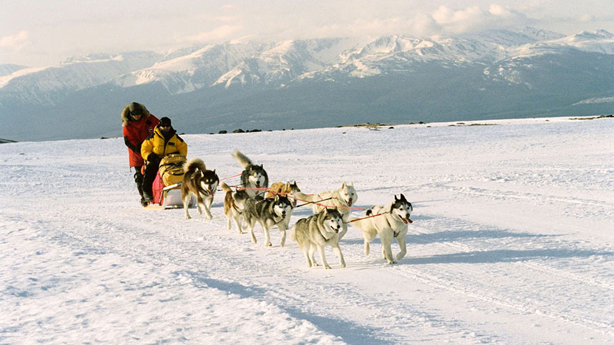 Eight Below, Kutup Macerası
