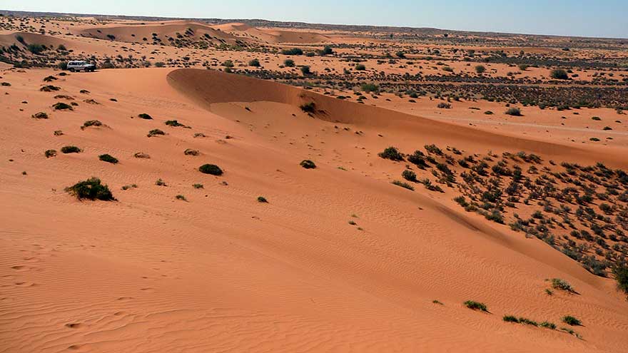 Kalahari Çölü | 900 Bin Kilometrekare