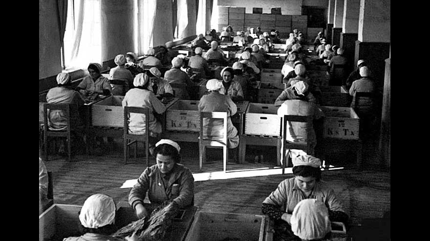 Cibali Tütün ve Sigara fabrikasının kadın çalışanları