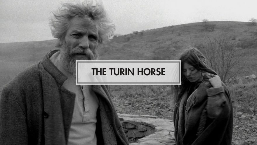 The Turin Horse (Torino Atı)