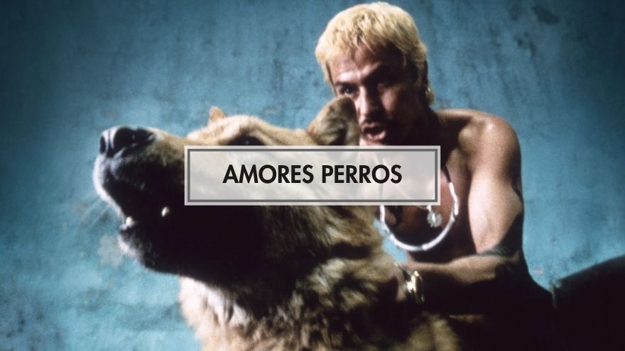Amoes Perros (Paramparça Aşklar ve Köpekler)